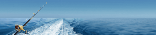 Shoreline Showdown Surf Fishing Tournament Recap