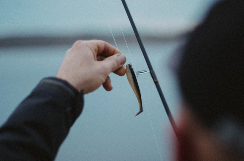 The Best Bait for Bluegill and Stocked Trout: Easy Worm Alternatives That Work