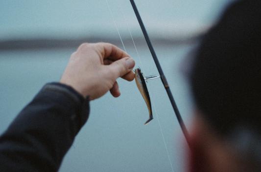 The Best Bait for Bluegill and Stocked Trout: Easy Worm Alternatives That Work