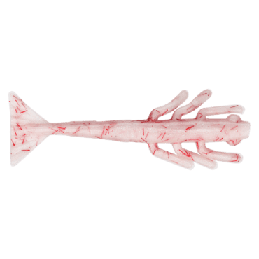 3.5" Fight'n Shrimp Hammer Fist