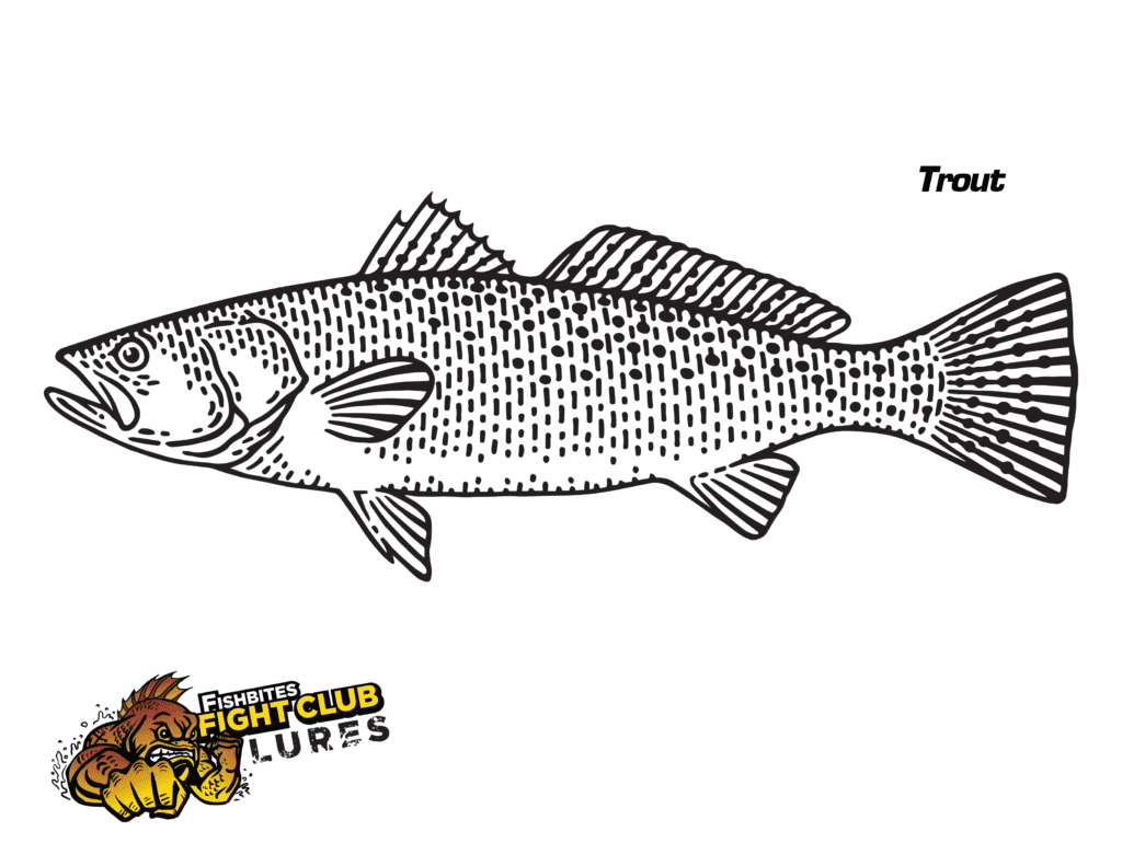 Trout Fight Club Coloring Sheet